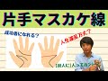 【手相占い】両手マスカケ線とは別物?!片手マスカケ線の見方を徹底解説！