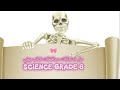 SCIENCE Grade 6 حل امتحانات محافظات كتاب المعاصر كتاب بوني 