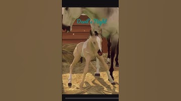 3 Cool Foals I Breed-Rival Stars Horse Racing