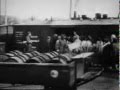 Из архива - на поездах увозят в немецкие лагеря