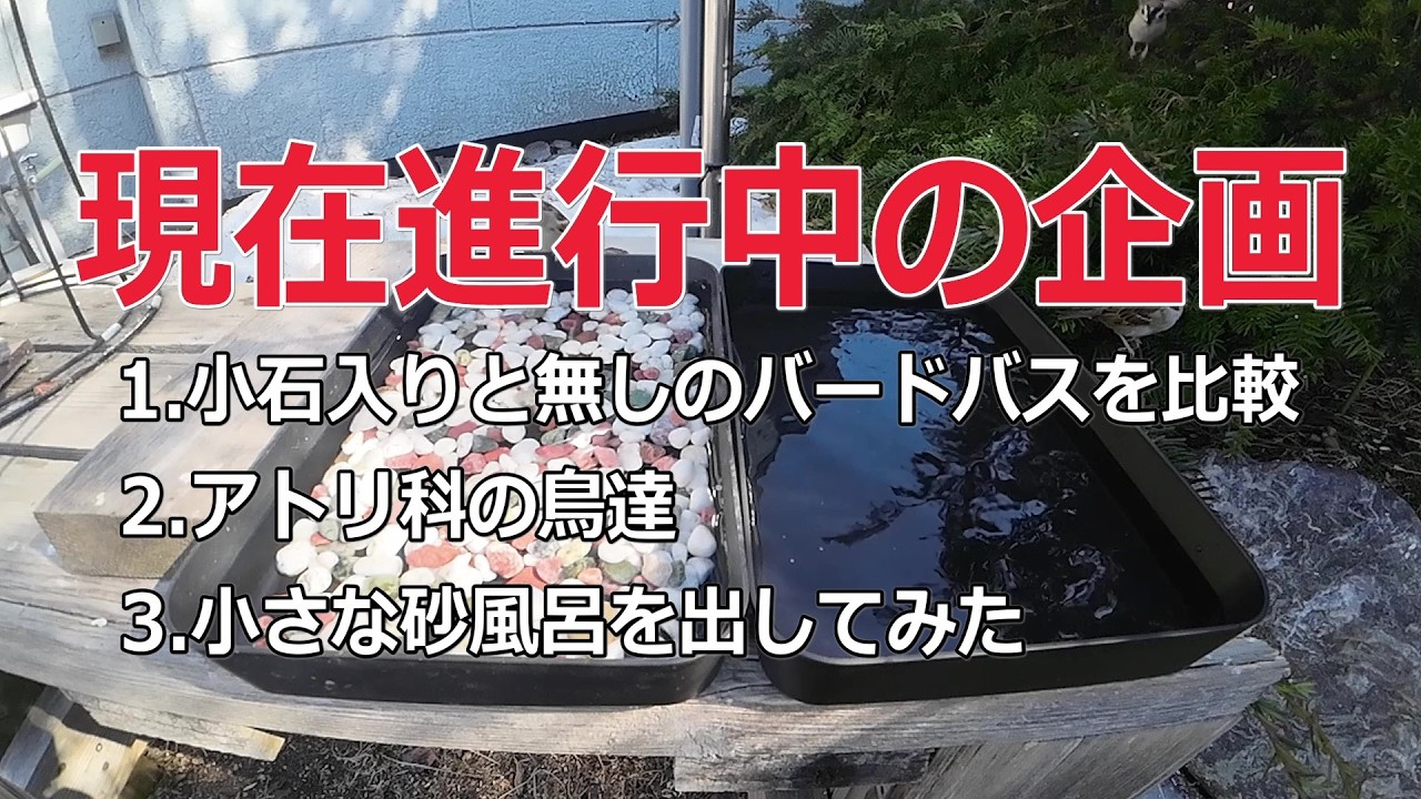 現在進行中の企画を３つご紹介