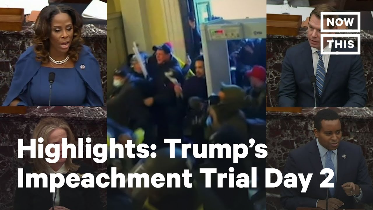 Trump Impeachment Hearings, Day 2