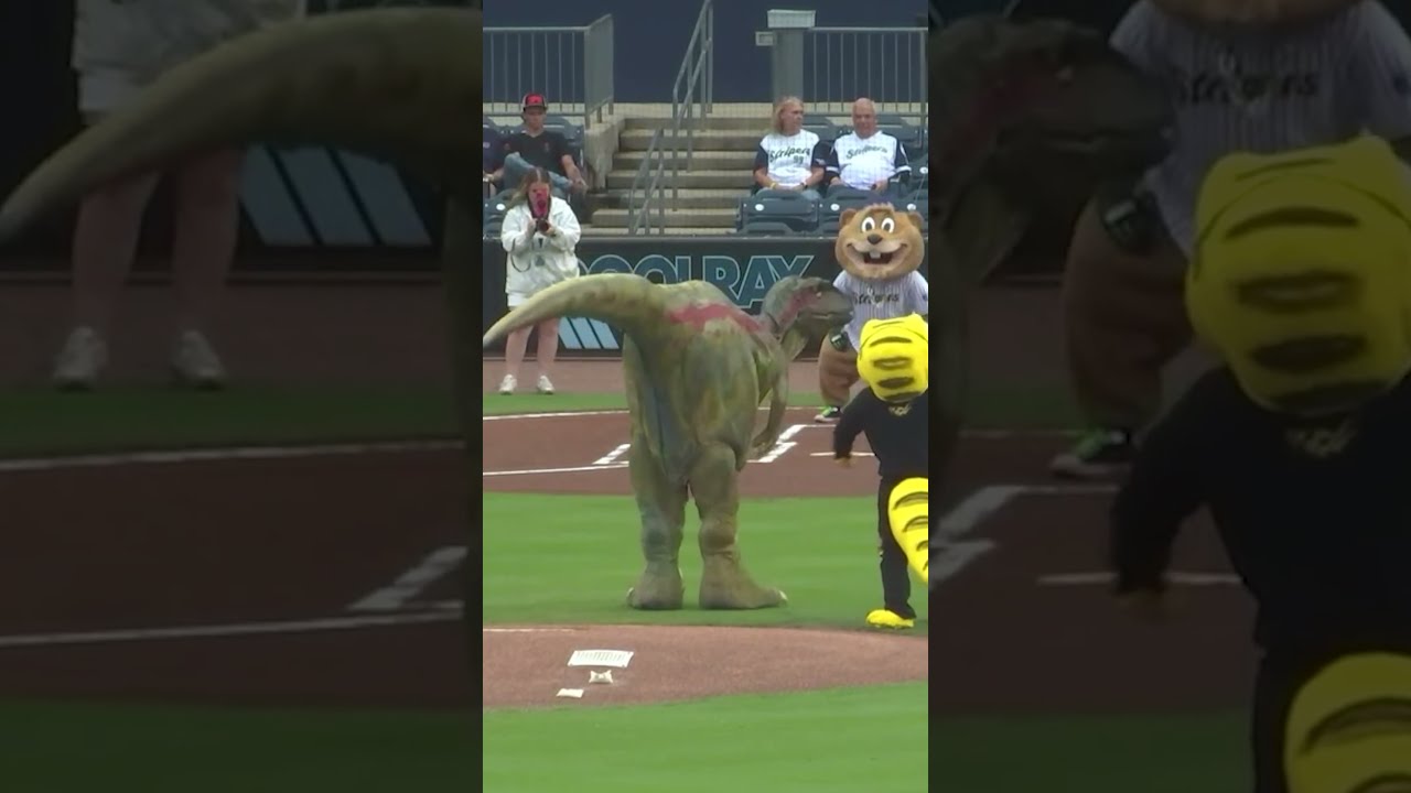 Dinosaur Throws Out First Pitch At Minor League Game And We Have Proof 