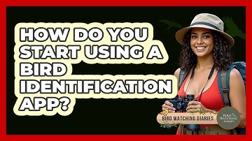 How Do You Start Using A Bird Identification App?