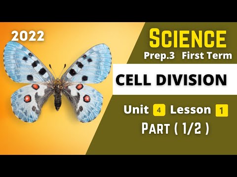 SCIENCE Prep 3 Cell Division 1 Unit 4 Lesson 1 