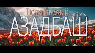видео: Снежные тюльпаны Азадбаша - горный поход из Таваксая в Азадбаш картинка: Снежные тюльпаны Азадбаша - горный поход из Таваксая в Азадбаш