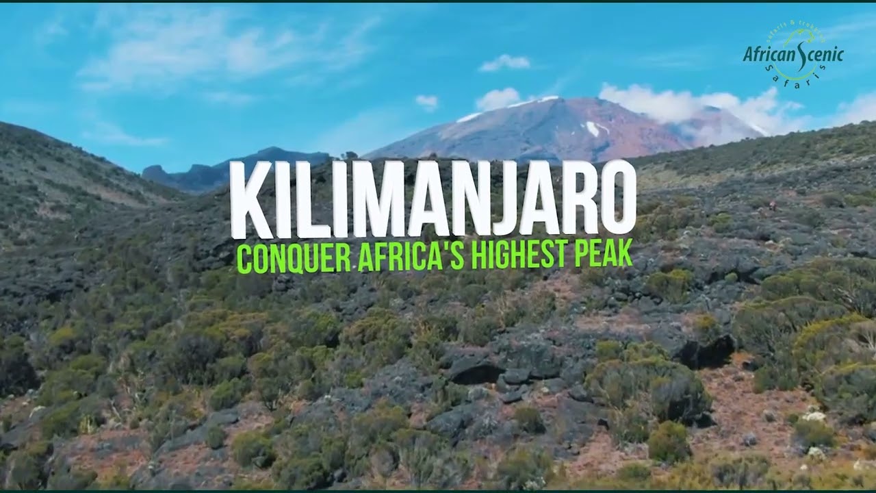 Experience the best sustainable safari experience in Tanzania with African Scenic Safaris.