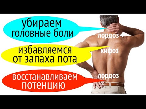 Как лечить СПИНУ, исправляя КИФОЗ и ЛОРДОЗ позвоночника?