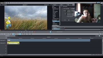 magix movie editor pro 2016 how to move a image around your video