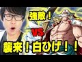 トレクル！強敵襲来！白ひげ！初見で挑む！ワンピース