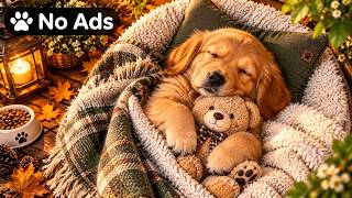 24 Hours Music for Dogs Home Alone 🏠🐶 Calm Anxiety, Comfort & Relaxation | No Ads screenshot 5
