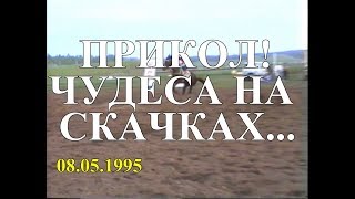 Прикол!!! Чудеса на скачках....