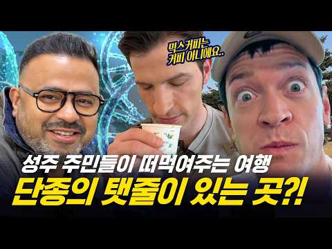 [354 근황_#361] 상주 아니고 성주입니다! | 단종의 OO이 남아있는 곳? | 참외의 고장