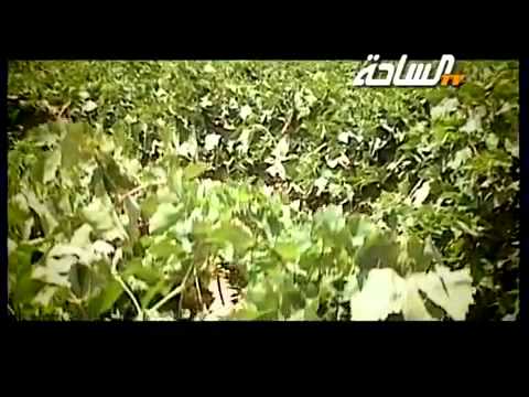 الفقر للشاعر ناصر القحطاني