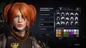 Destiny Character Customization (Alpha)
