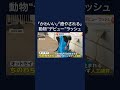 サモエド・ペンギン・キリンも…動物赤ちゃんデビュー相次ぐ #shorts