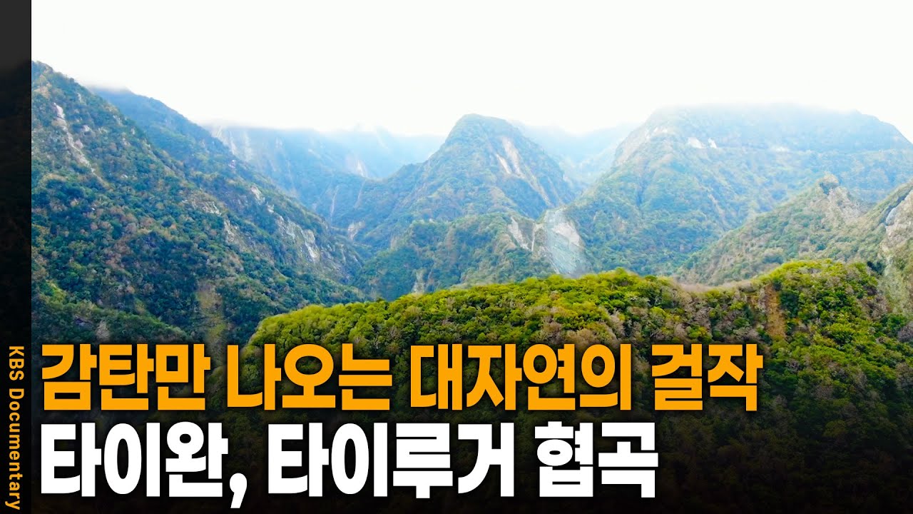 일생에 세 번은 가봐야 한다는 대자연의 협곡, 타이루거 협곡 | KBS 20241010 방송