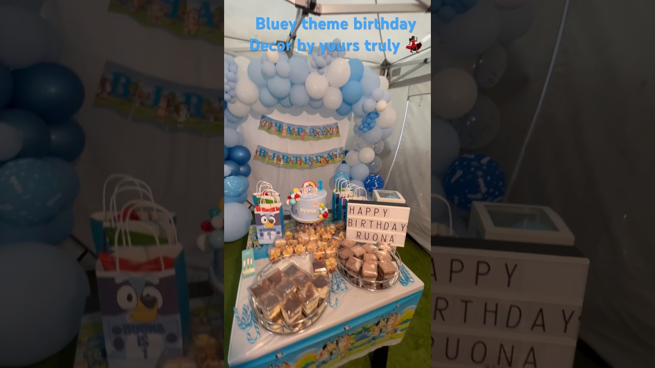 Bluey Themed Birthday Party Idea! 