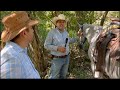 CABALLOS DE CABALGATA - Preparativos para ir de cabalgata!