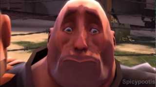 Spy Is A Flying Dancing Bird