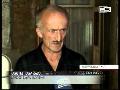 შარაძეების ოჯახი ხელვაჩაურის გამგეობას დახმარებას სთხოვს