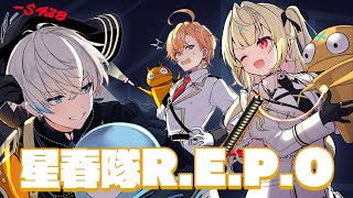 渋谷ハルの配信のサムネイル画像