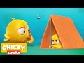 ¿Dónde está Chicky? 2020 | CAMPING SALVAJE | Dibujos Animados Para Niños