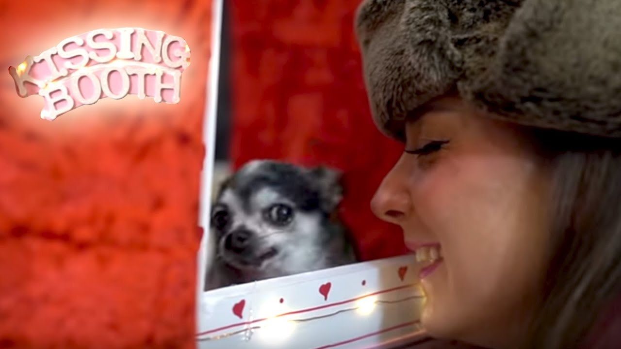 Jenna Marbles dogs refuse to kiss and Peach is having a beef with Jenna