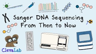 Sanger DNA Sequencing, From Then to Now.
