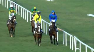 Play video: Hurricane Fly Best Irish Grade 1 Wins
