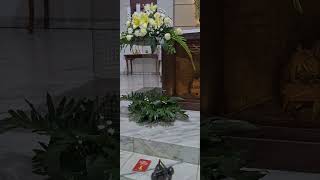 Download Lagu Merangkai Bunga Segar Di Gereja, Church Altar Decoration Idea MP3