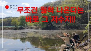 ep. 36 산란기 월척 무조건 나옵니다  여조사 민물낚시 부부낚시 붕어낚시 소류지낚시 저수지낚시 경상도저수지