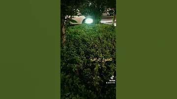 كلام درر لاصحاب العقول الراقيه 