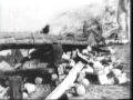 Cruiser Bow Ripped Off By Typhoon 1945 Newsreel