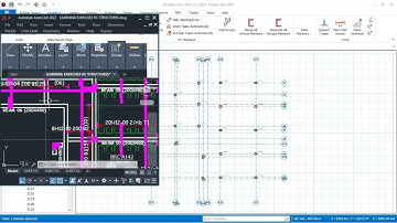 Importing from AutoCAD to Prota Structure 2021
