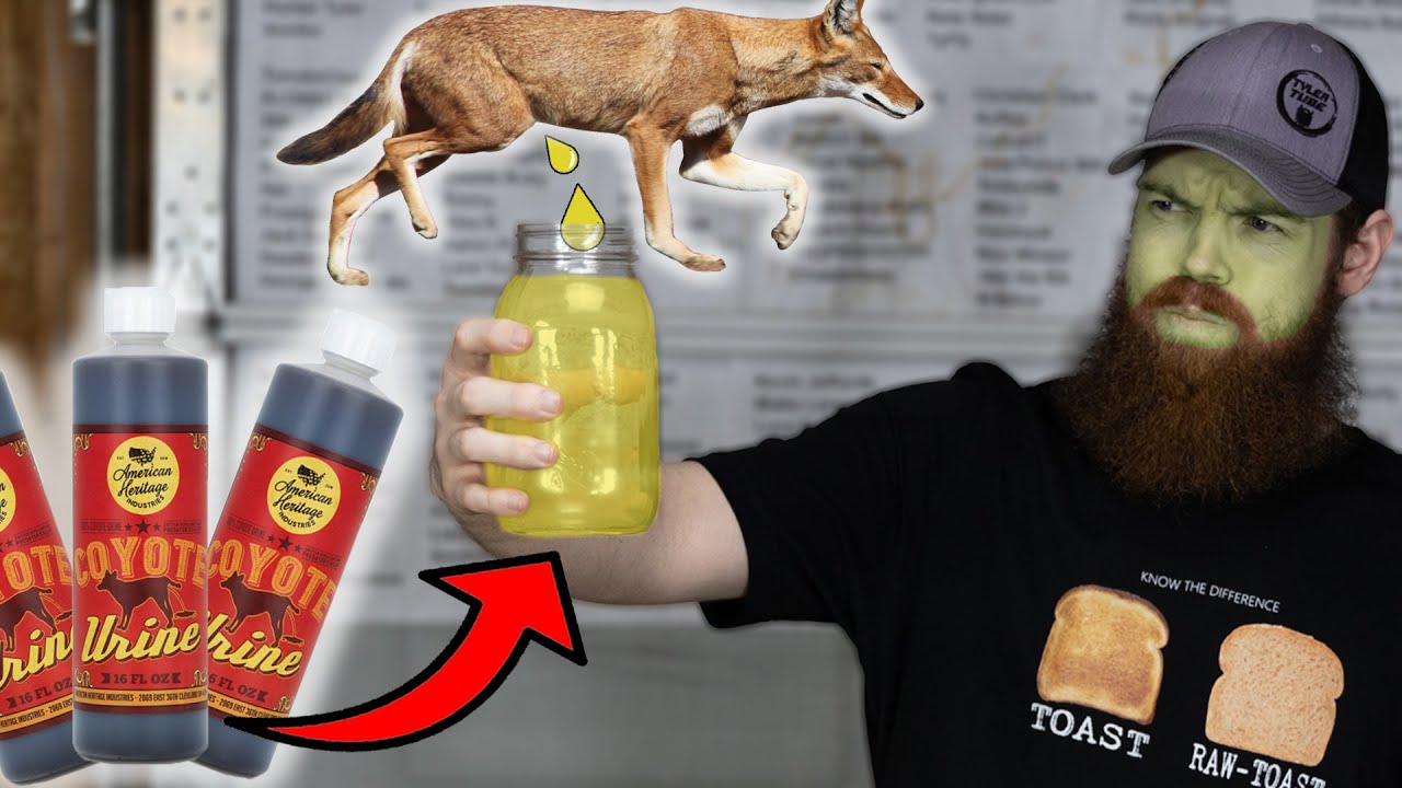 Does Walmart Sell Coyote Urine?