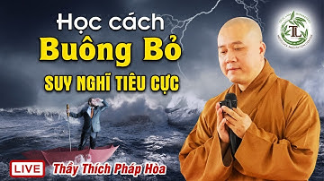 Học cách Buông Bỏ những Suy Nghĩ Tiêu Cực trong tâm - Thầy Thích Pháp Hòa