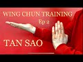 Wing chun training episode 2  tan sao 