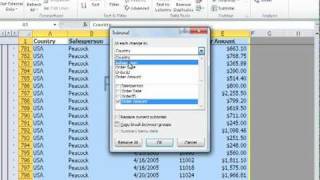 Summarizing Data Using Subtotals in Excel