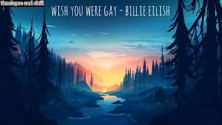 [Vietsub + Lyrics] Wish You Were Gay - Billie Eilish