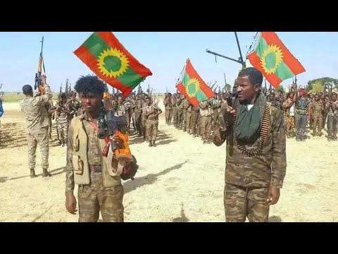 Kotee Hicitii Biiyyaa Ethiopia Jabdu Caqasa November 22 2025