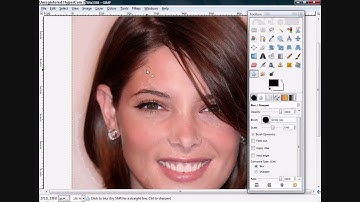 Ashley Greene makeover (Gimp).