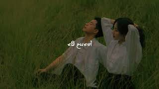 me uyane | මේ උයනේ (slowed+reverb)