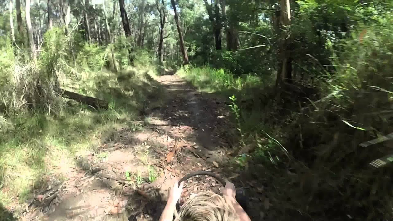 Downhill Billykart Race