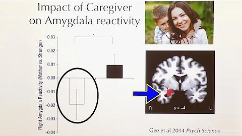 The Effects of Early Life Stress on Brain and Behavior