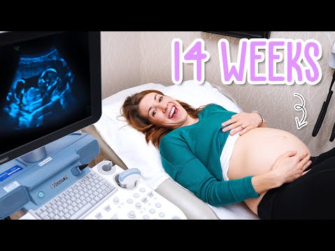 14-week-pregnancy-ultrasound---baby-moving-and-yawning!