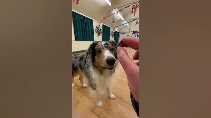 Emergency Stop training