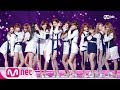 Izonerumor2018 mama fans choice in japan 181212