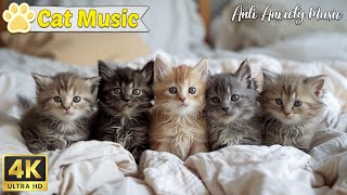 Soothe your Cat with our Relaxation Music! 🐱 Anti-Anxiety Music for Cats and Kittens! by Music For Cats 1,613 views 11 days ago 23 hours