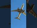 Air India 787 Crash: Interim Report Could Change Everything #shorts #aviation